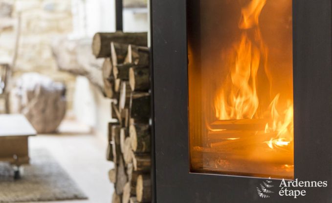 Holiday cottage in Chassepierre for 4/6 persons in the Ardennes