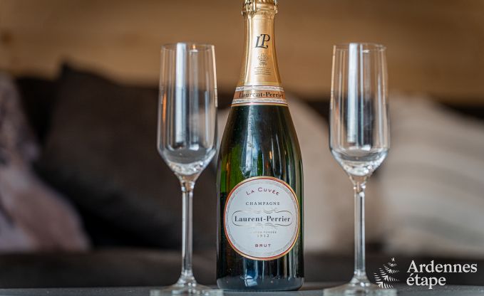 Charming chalet for 5 on the bank of the Semois in Chiny, Gaume