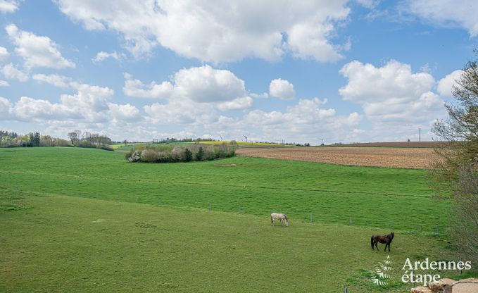 Luxury holiday home in Ciney: house for 8 people with indoor pool, sauna, and private garden