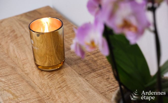 Cozy family cottage in Clavier, Ardennes