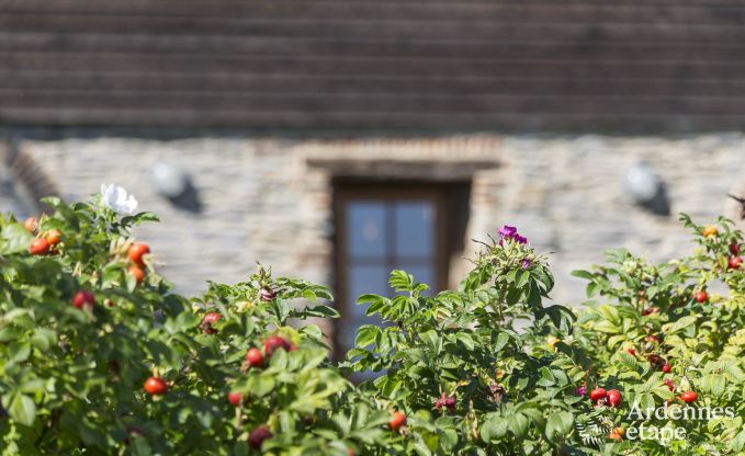 Holiday cottage in Couvin for 15 persons in the Ardennes