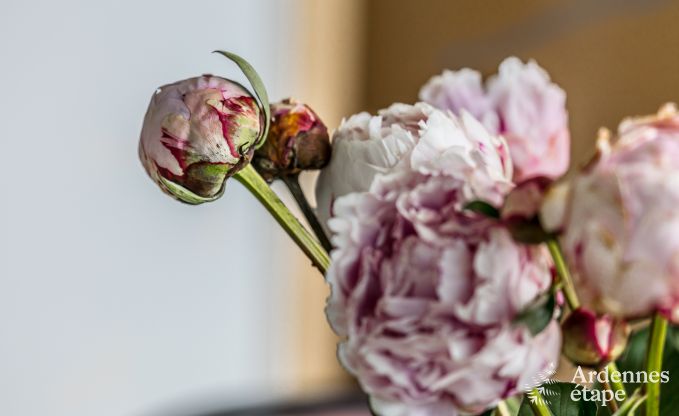 Holiday cottage in Dalhem for 6 persons in the Ardennes