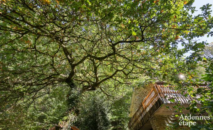 Chalet in Daverdisse for 8 persons in the Ardennes