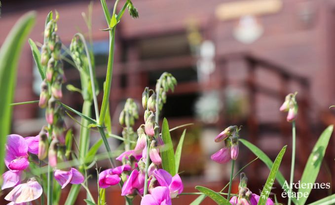 Chalet in Dinant (Hastire) for 6 persons in the Ardennes