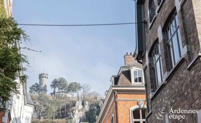 Holiday cottage in Dinant for 12/14 persons in the Ardennes