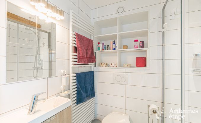 Holiday cottage in Dinant for 9 persons in the Ardennes