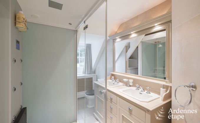 Spacious holiday home with swimming pool in Dinant, Ardennes