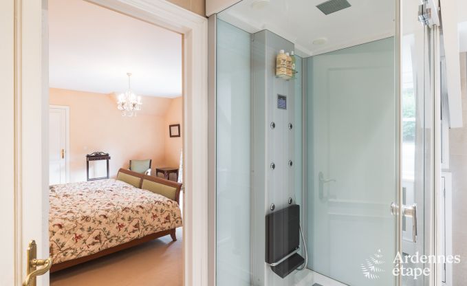 Spacious holiday home with swimming pool in Dinant, Ardennes