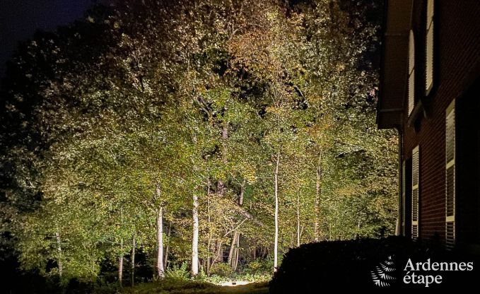 Spacious holiday home with swimming pool in Dinant, Ardennes