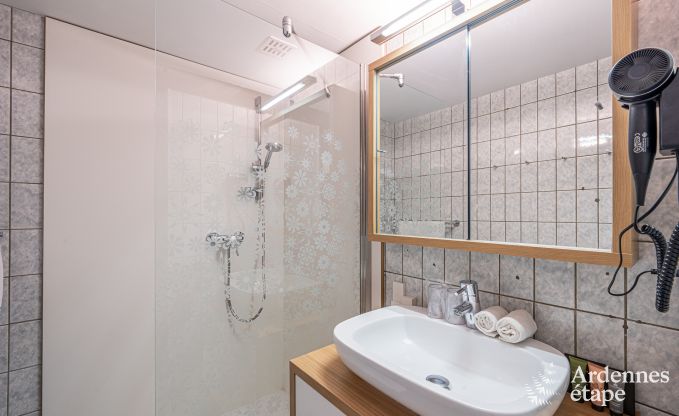 Holiday cottage in Dinant for 20 persons in the Ardennes