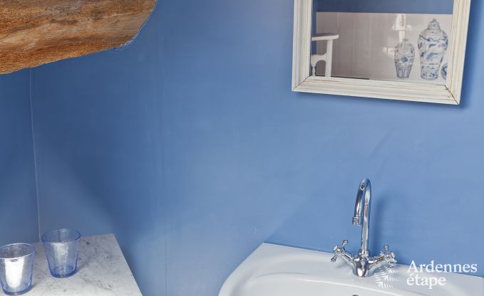 Holiday cottage in Dinant for 12 persons in the Ardennes