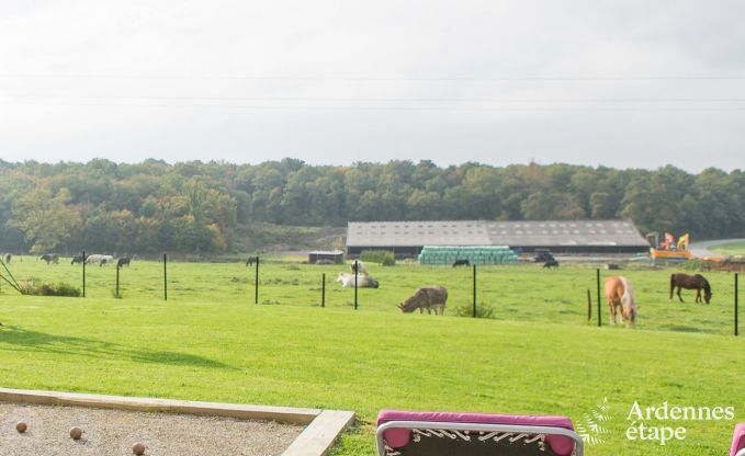 Holiday cottage in Doische (Dinant) for 8 persons in the Ardennes