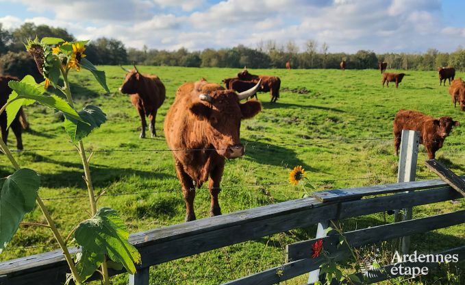 Holiday cottage in Doische for 9 persons in the Ardennes