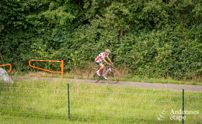 Exceptional in Doische for 2/4 persons in the Ardennes