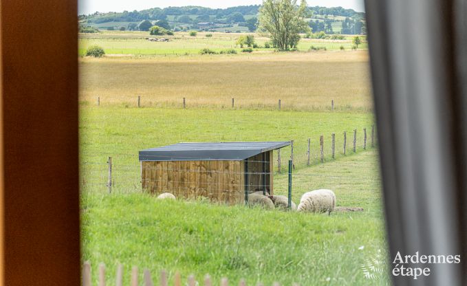 Exceptional in Doische for 2/4 persons in the Ardennes