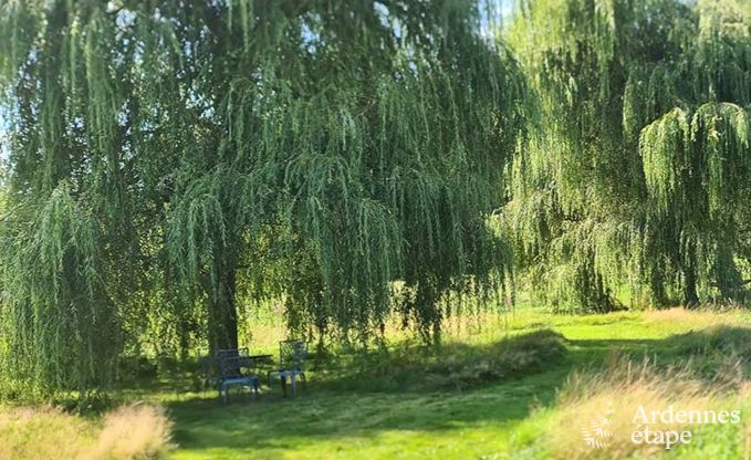 Holiday cottage in Doische for 9 persons in the Ardennes