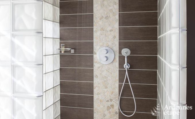 Luxury villa for 8 people in Doische: infrared cabin, jacuzzi, cassette fireplace, pond, and private garden