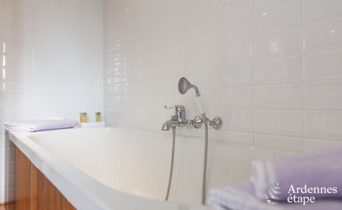 Luxury villa for 8 people in Doische: infrared cabin, jacuzzi, cassette fireplace, pond, and private garden