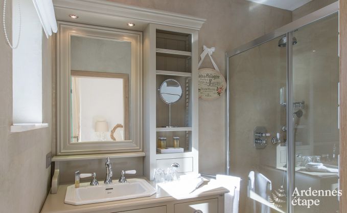 Luxury villa for 8 people in Doische: infrared cabin, jacuzzi, cassette fireplace, pond, and private garden