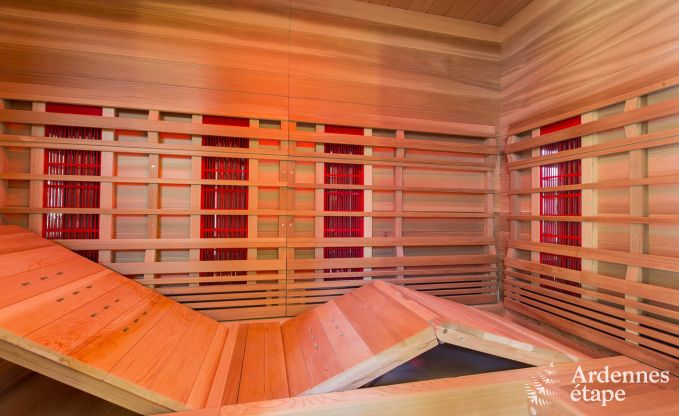 Luxury villa for 8 people in Doische: infrared cabin, jacuzzi, cassette fireplace, pond, and private garden