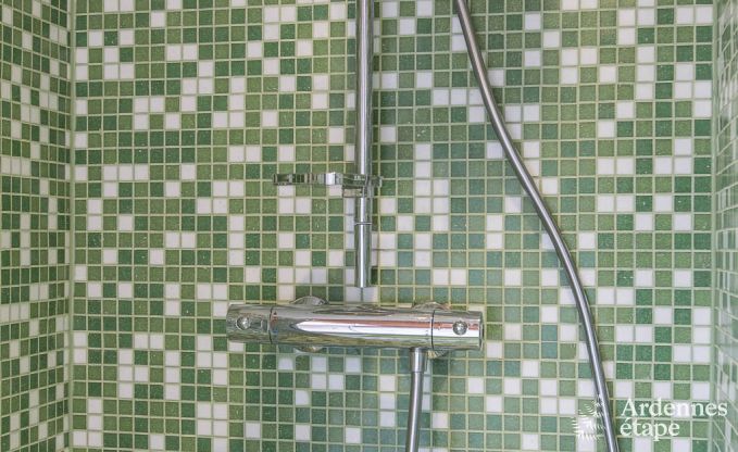 Holiday cottage in Durbuy (Wris) for 15 persons in the Ardennes