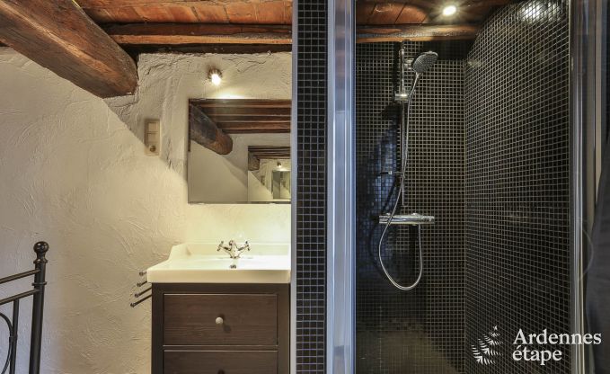 Holiday cottage in Durbuy (Wris) for 15 persons in the Ardennes
