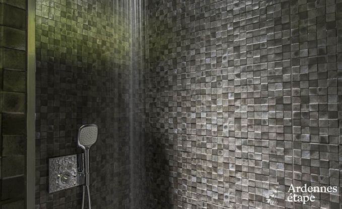 Holiday cottage in Durbuy for 22 persons in the Ardennes