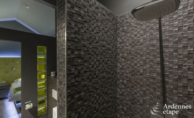 Holiday cottage in Durbuy for 22 persons in the Ardennes