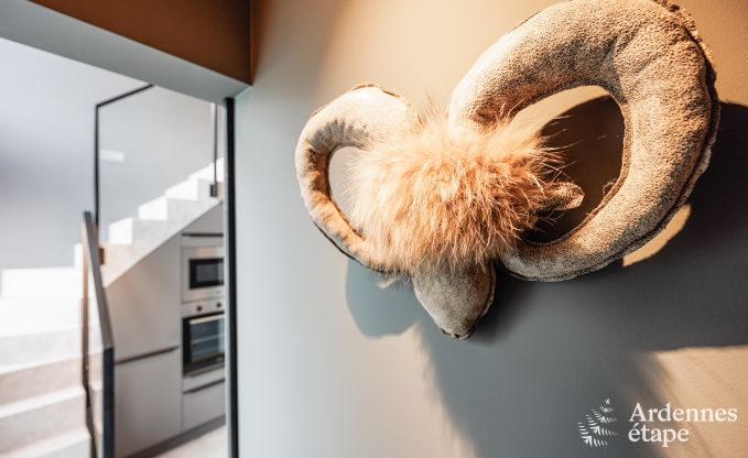 Holiday cottage in Durbuy for 2/4 persons in the Ardennes