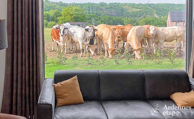 Luxury villa in Durbuy for 12 persons in the Ardennes