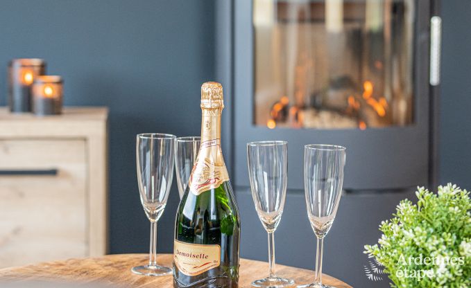 Luxury villa in Durbuy for 12 persons in the Ardennes