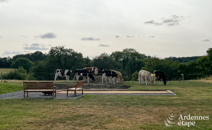 Luxury villa in Durbuy for 12 persons in the Ardennes