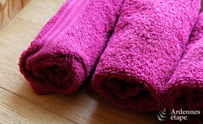 Luxury Villa in Durbuy for 4 people in Ardennes