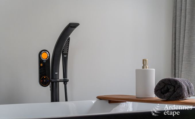 Luxury villa in Durbuy: enjoy wellness, art and nature for 8 people