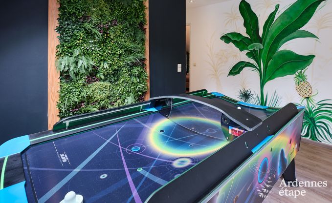 Luxevilla in Durbuy for 8 people with jacuzzi, sauna, covered terrace and private garden