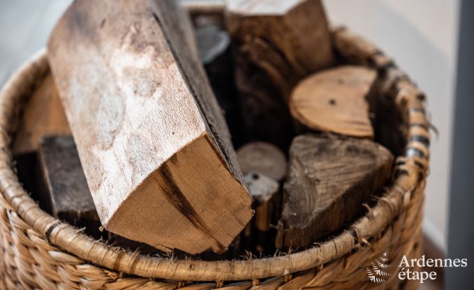 Luxury villa in Durbuy for 11 persons in the Ardennes