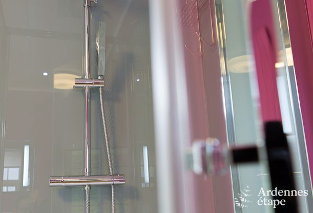 Luxury villa in Durbuy: accommodation for 15 people with pool, spa, and nature in the Ardennes