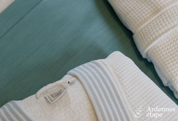 Luxury villa in Durbuy: accommodation for 15 people with pool, spa, and nature in the Ardennes