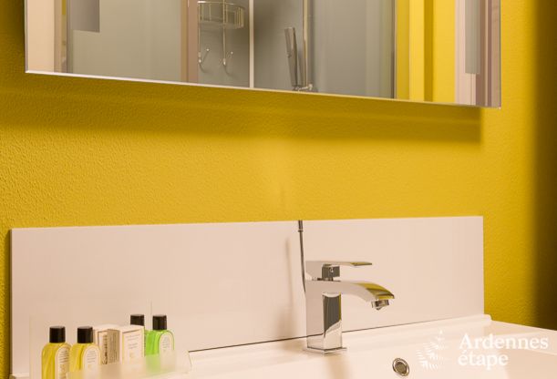 Luxury villa in Durbuy: accommodation for 15 people with pool, spa, and nature in the Ardennes