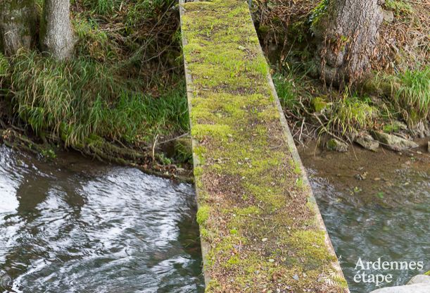 Luxury villa in Durbuy: accommodation for 15 people with pool, spa, and nature in the Ardennes