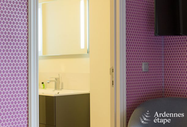 Luxury villa in Durbuy: accommodation for 15 people with pool, spa, and nature in the Ardennes