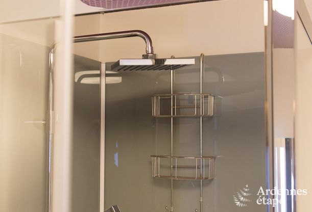 Luxury villa in Durbuy: accommodation for 15 people with pool, spa, and nature in the Ardennes