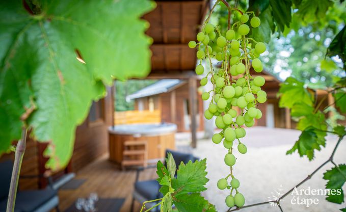 Chalet in Durbuy for 8 persons in the Ardennes