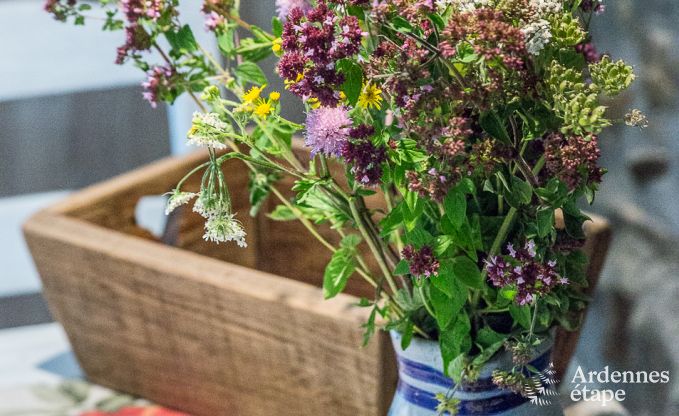 Holiday cottage in Durbuy for 2/3 persons in the Ardennes