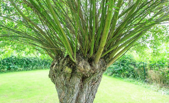 Holiday cottage in Durbuy for 2/3 persons in the Ardennes