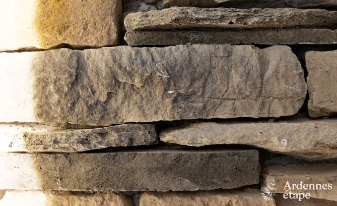 Luxury Villa in Durbuy for 4 people in Ardennes