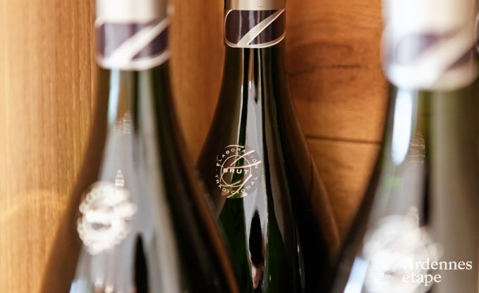 Luxury Villa in Durbuy for 4 people in Ardennes