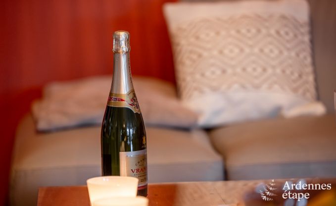 Luxury villa in Durbuy for 11 persons in the Ardennes