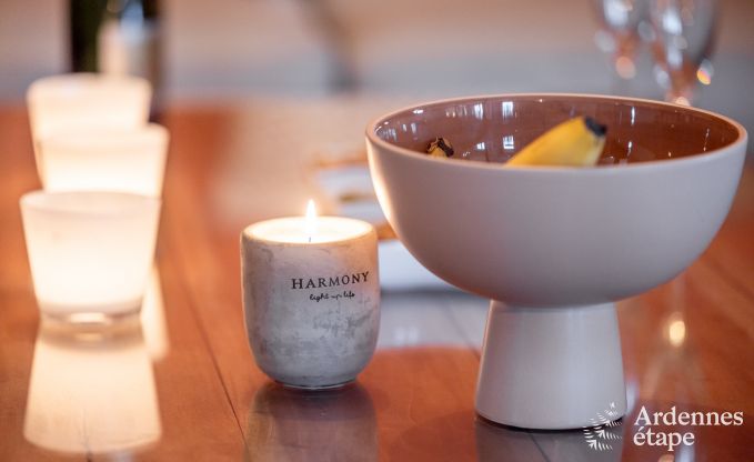 Luxury villa in Durbuy for 11 persons in the Ardennes