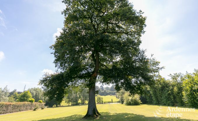 Luxury villa in Durbuy for 11 persons in the Ardennes